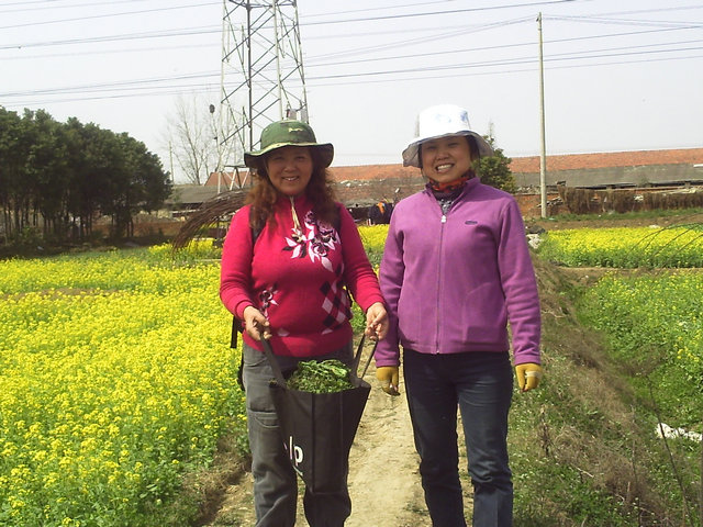 pict0041.jpg