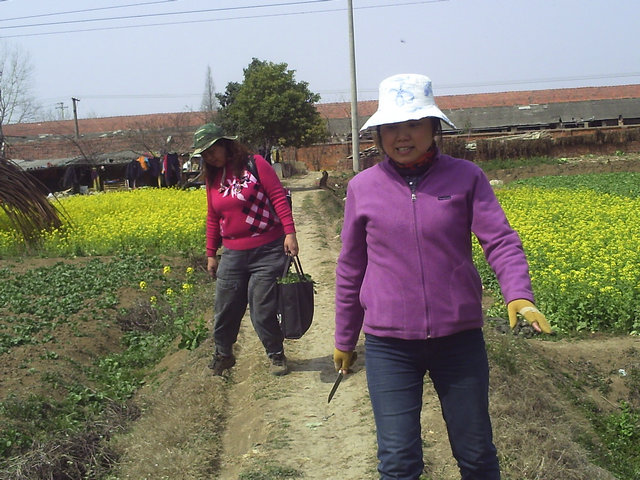 pict0038.jpg