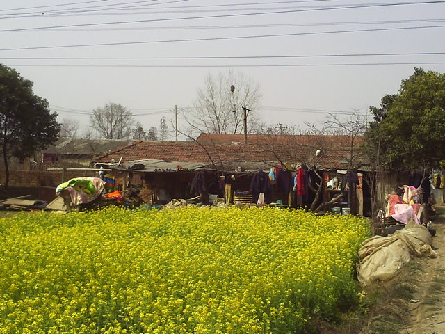 pict0034.jpg