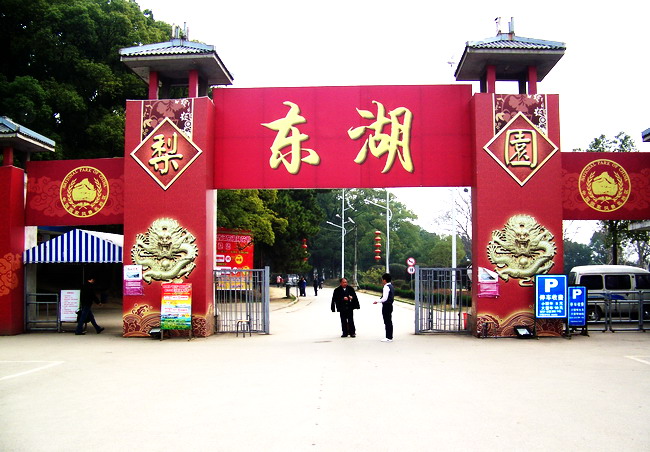 100_8683.jpg