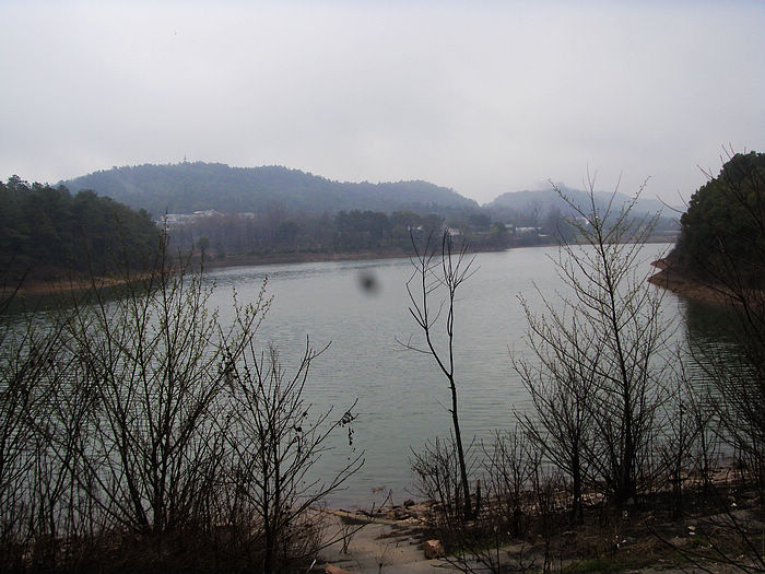 s73f1645.jpg