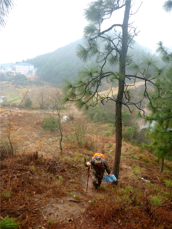 p1050059_.jpg