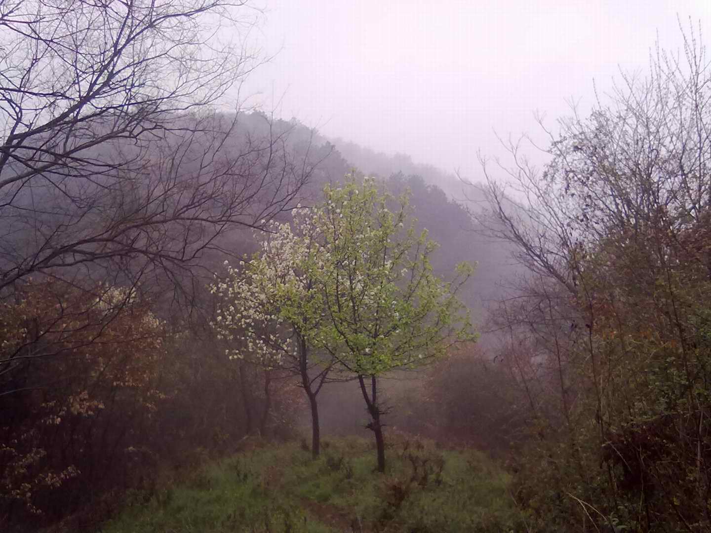2011-3-12 046.jpg