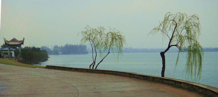 dsc05162.jpg