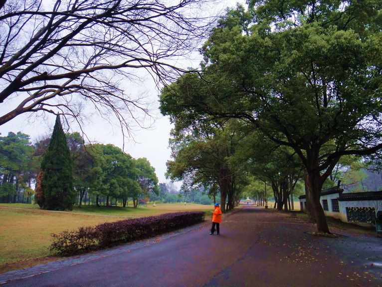 dsc05072.jpg
