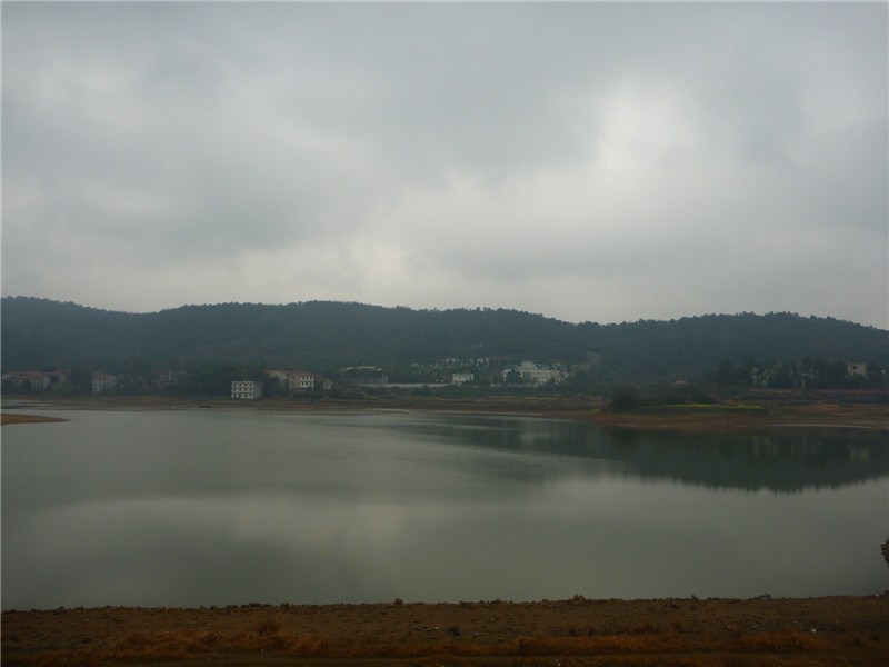 p1050074_.jpg