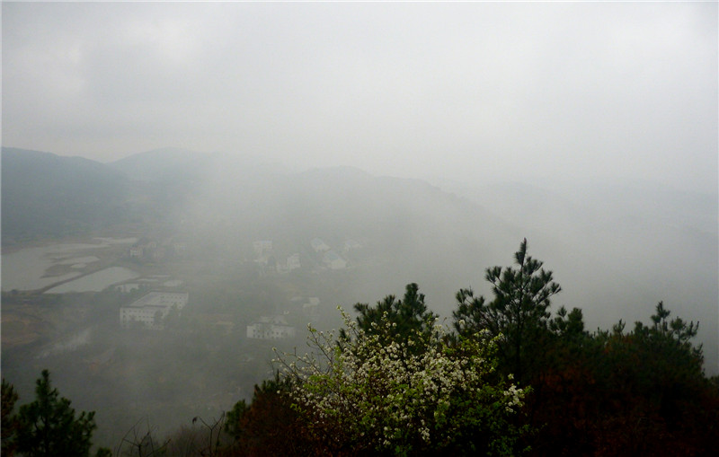 p1050085_.jpg