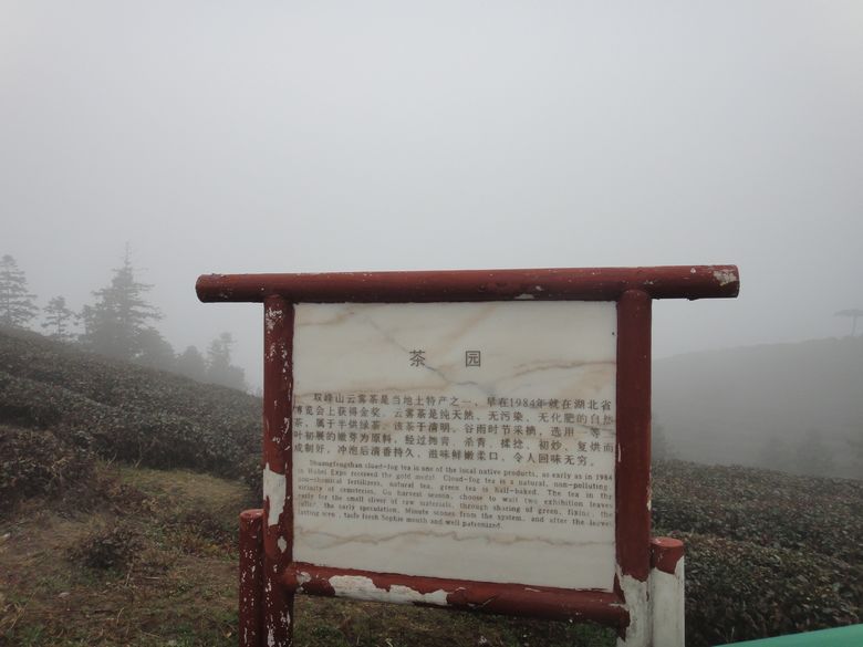 dsc04247.jpg