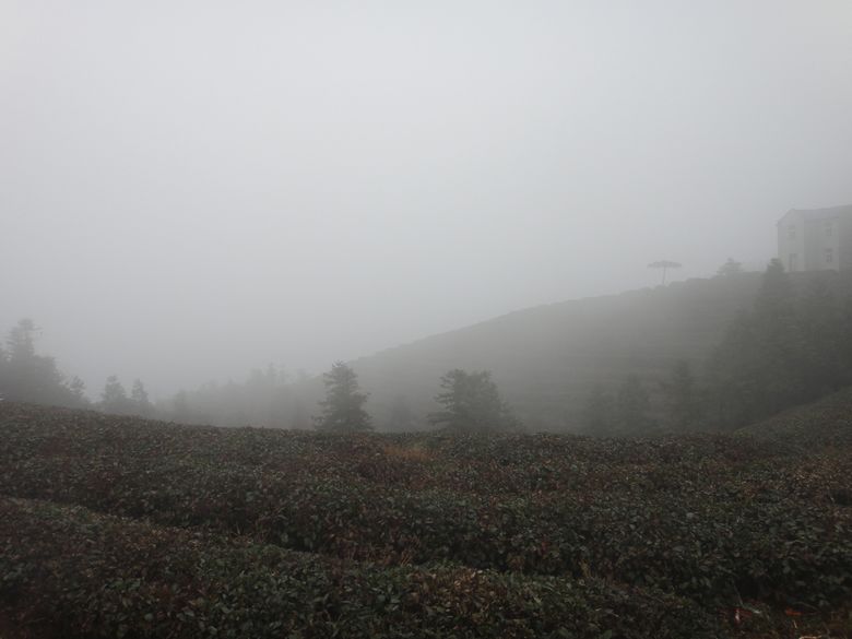 dsc04248.jpg