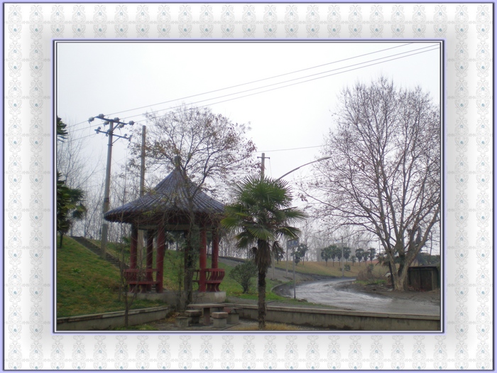 dscn8311.jpg