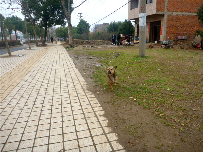 p1050100_.jpg