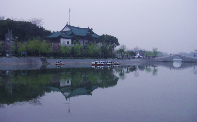 dsc05183.jpg