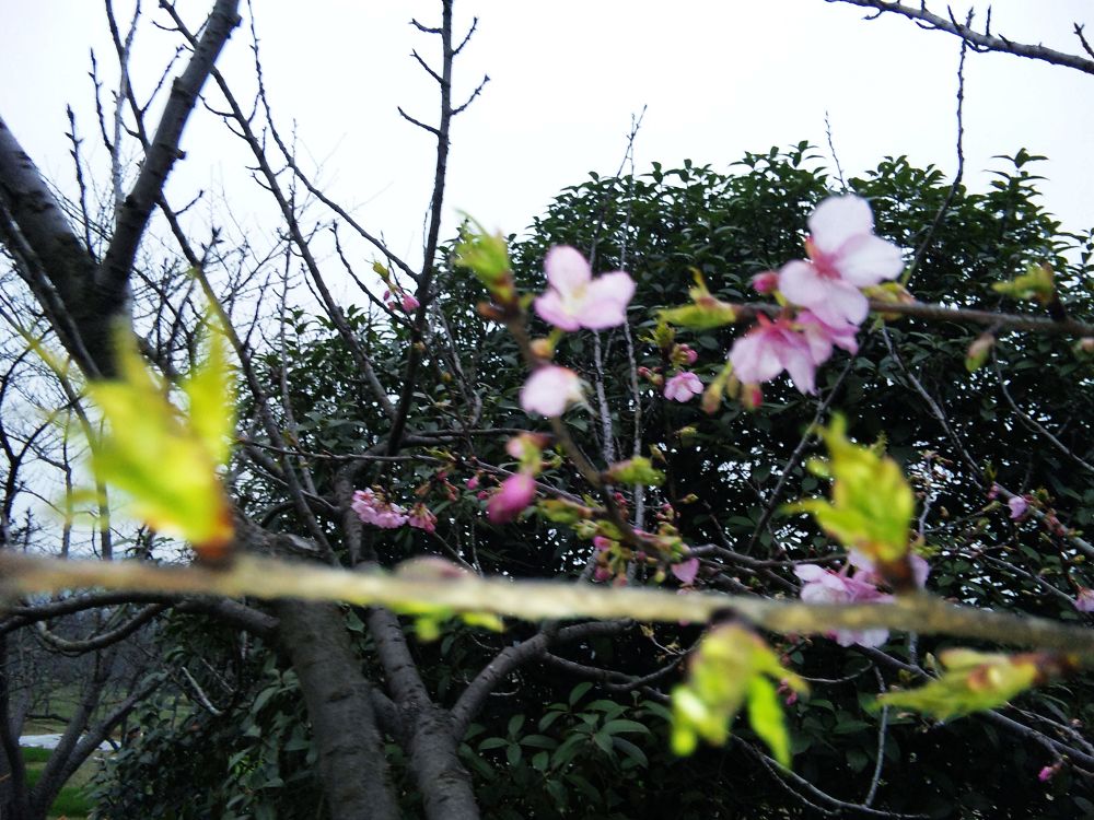 neo_img_dvc00137.jpg