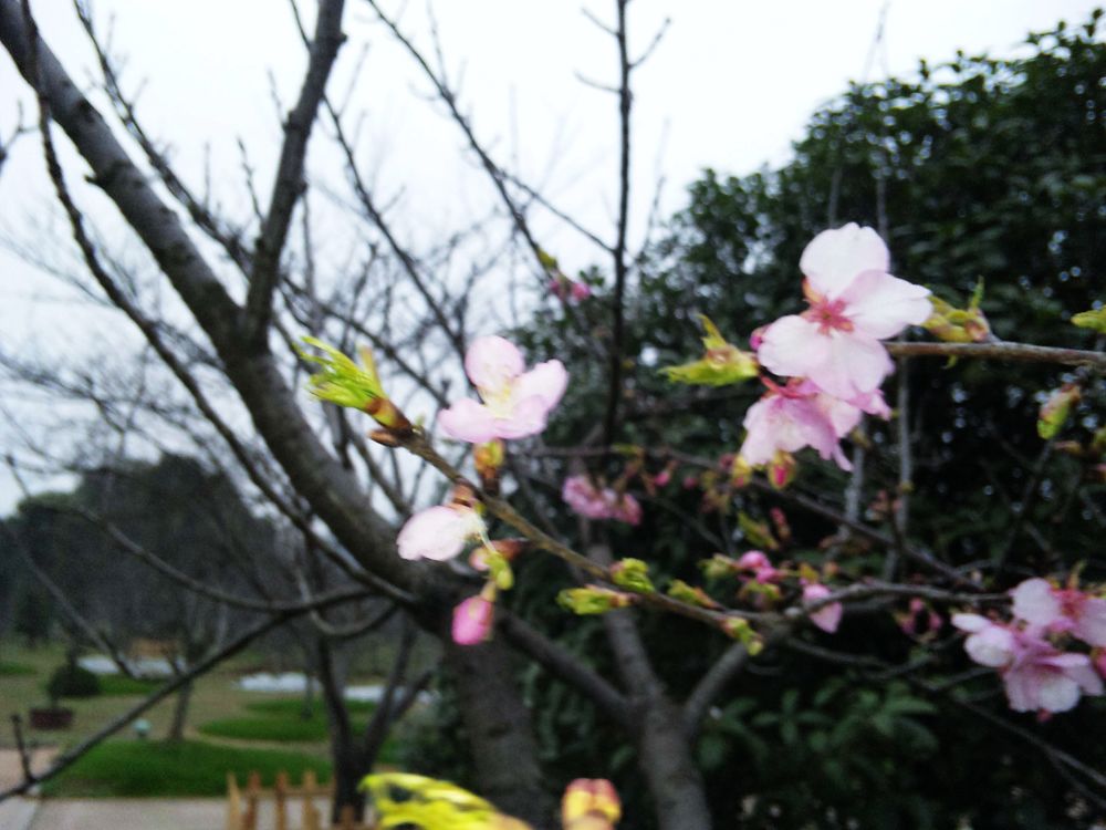 neo_img_dvc00140.jpg