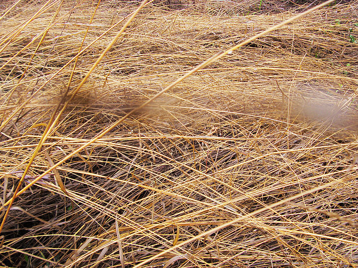 s73f1689.jpg