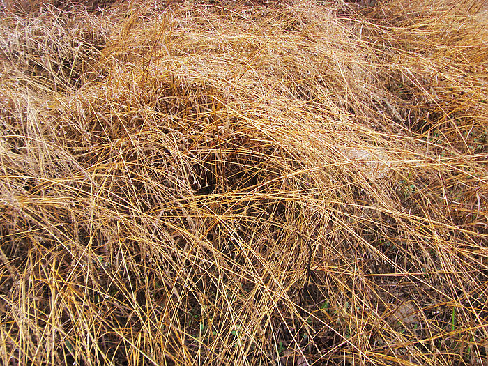 s73f1688.jpg