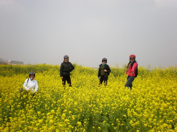  20110323_19.jpg