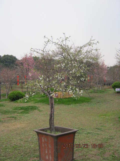 img_1634.jpg