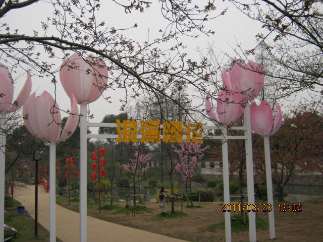 img_1635.jpg
