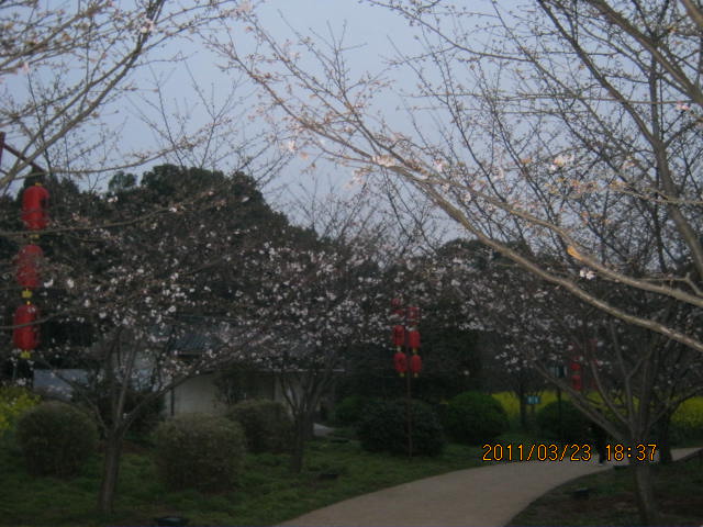 img_1636.jpg
