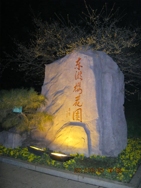 img_1642.jpg