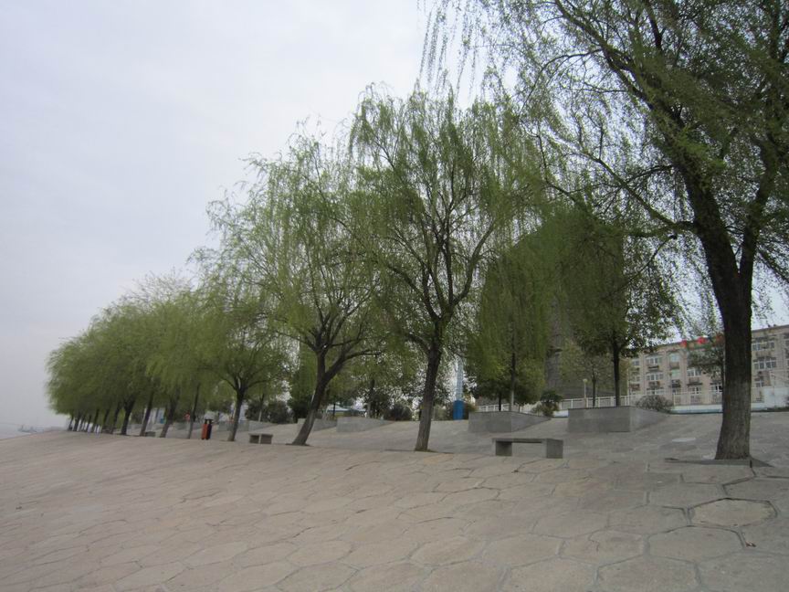 72�δ�̿� 004.jpg