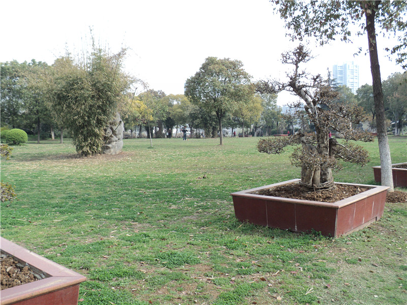 dsc02955_.jpg