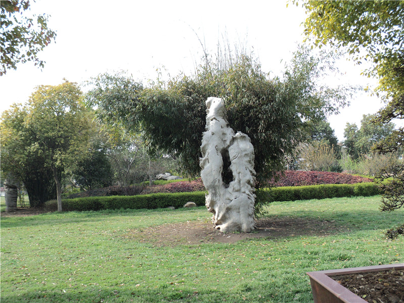 dsc02959_.jpg