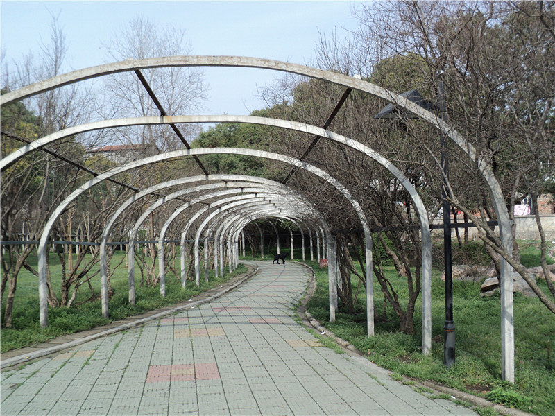 dsc02967_.jpg