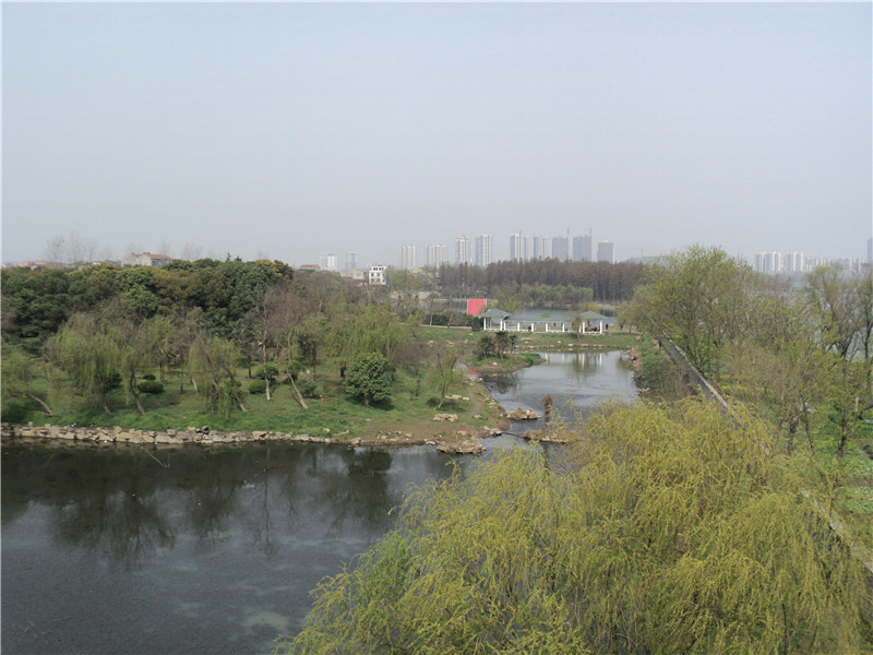 dsc02975_.jpg