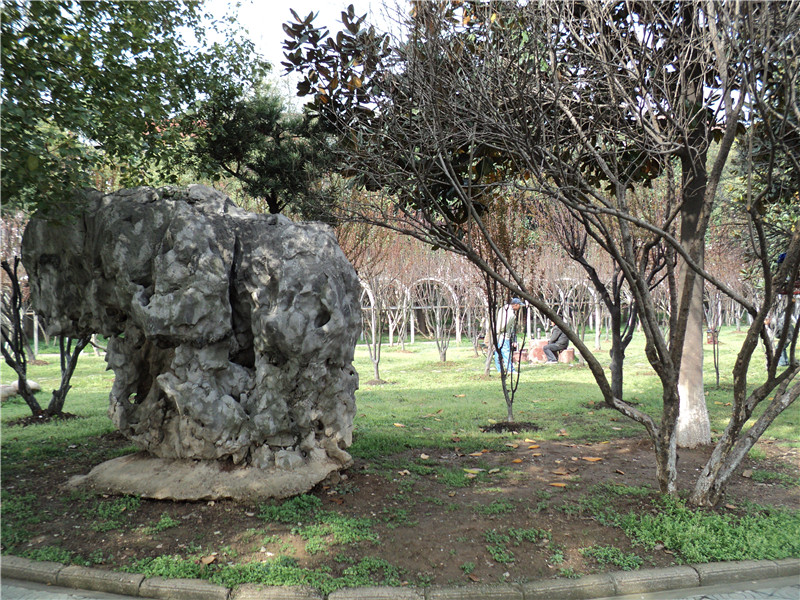 dsc02969_.jpg