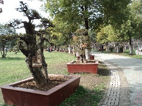 dsc02962.jpg