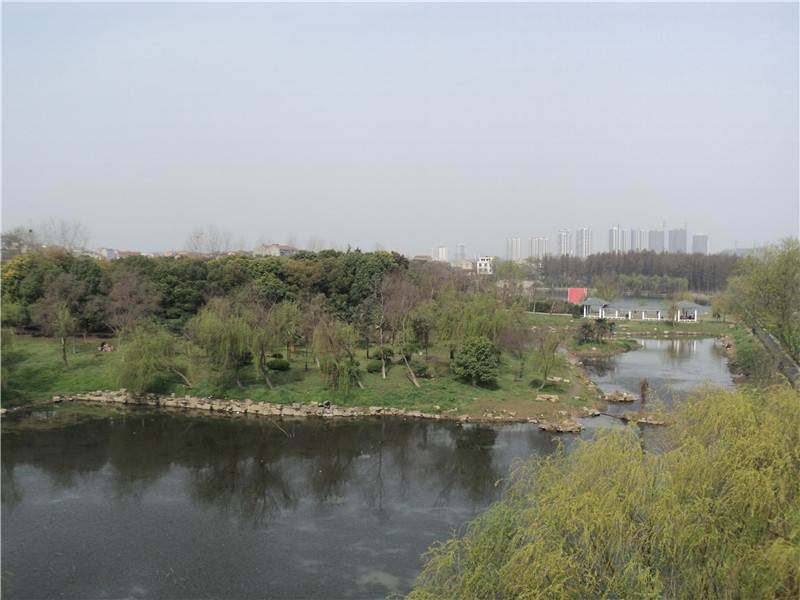 dsc02976_.jpg