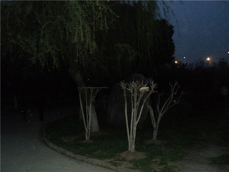 dsc02980_.jpg