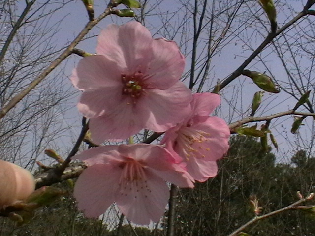  imga0724.jpg