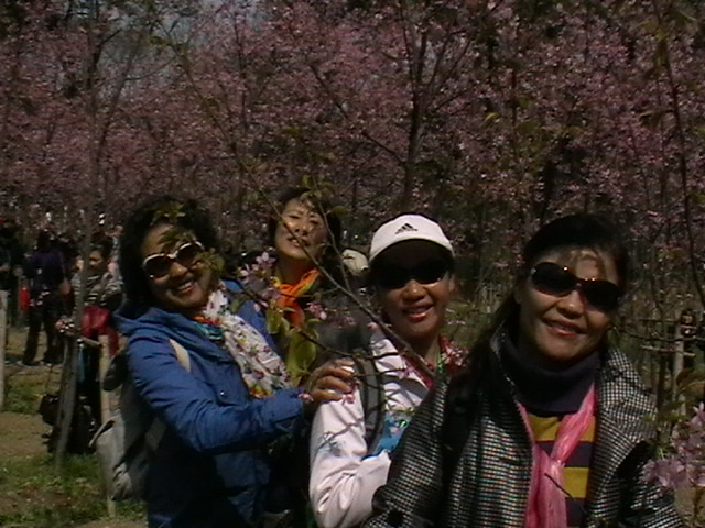  imga0721.jpg