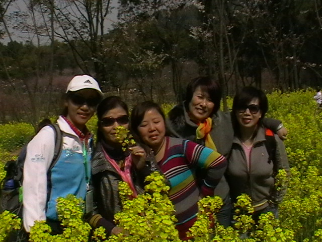 imga0726.jpg