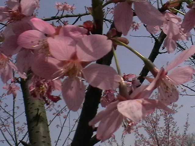 imga0717.jpg