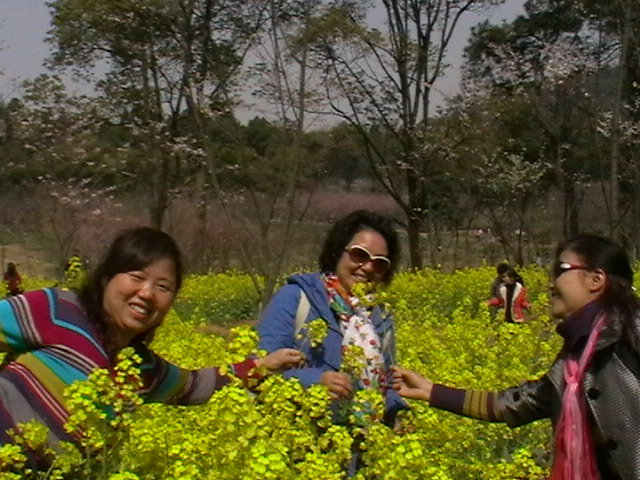  imga0737.jpg