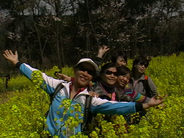  imga0735.jpg