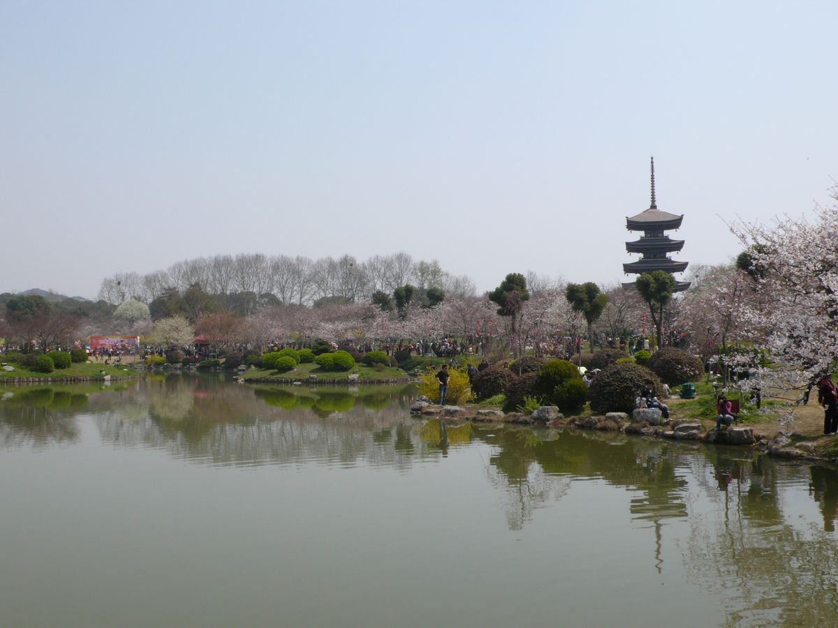l1100114.jpg