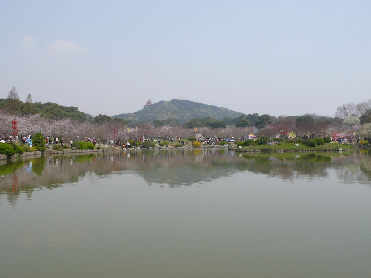 l1100115.jpg