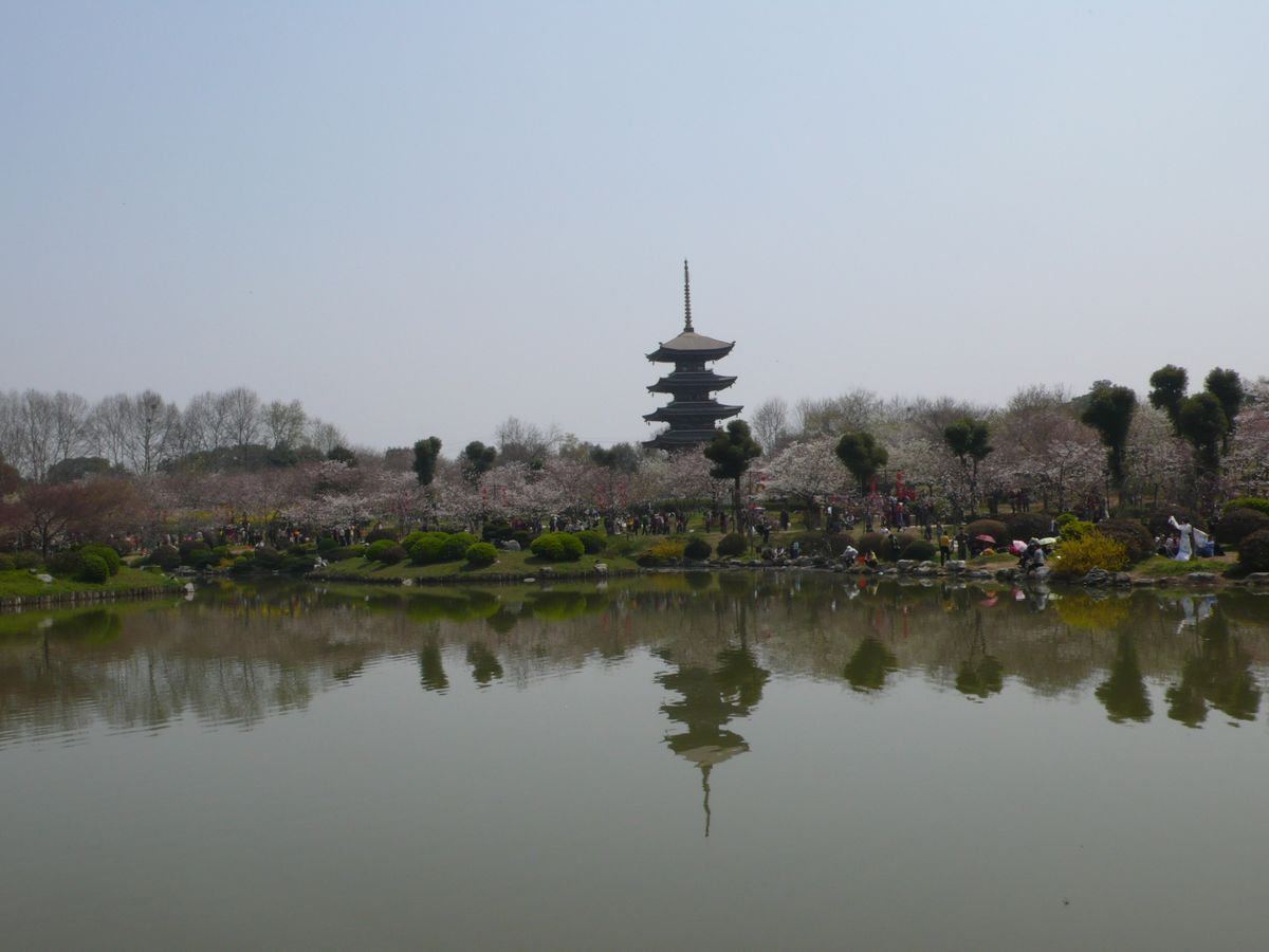 l1100116.jpg
