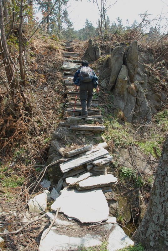 dsc_0062.jpg