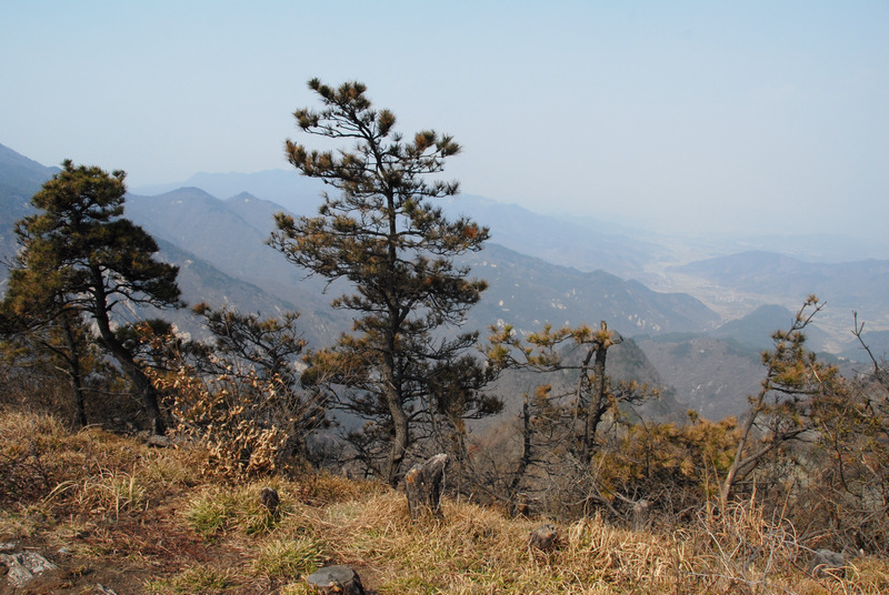 dsc_0125.jpg