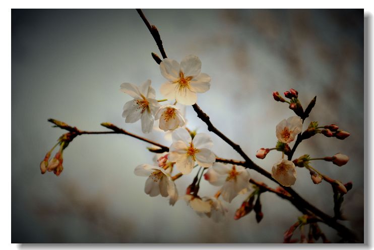 ��Ƭ 058.jpg