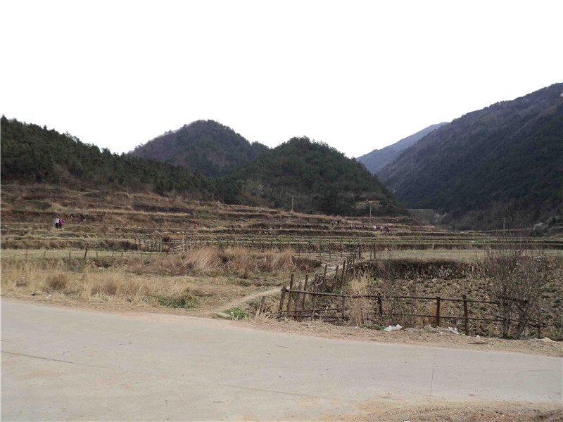 dsc03079_.jpg