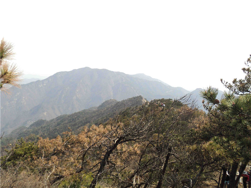 dsc03060_.jpg
