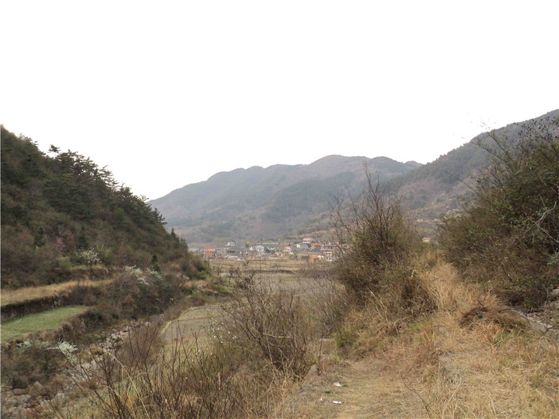 dsc03075_.jpg