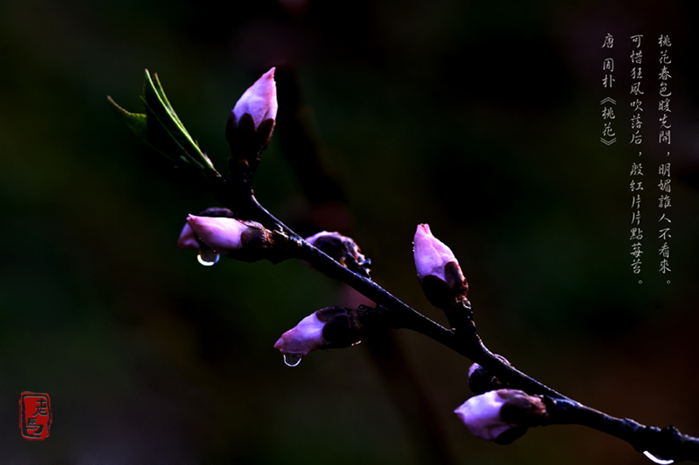 dsc_8927-1.jpg